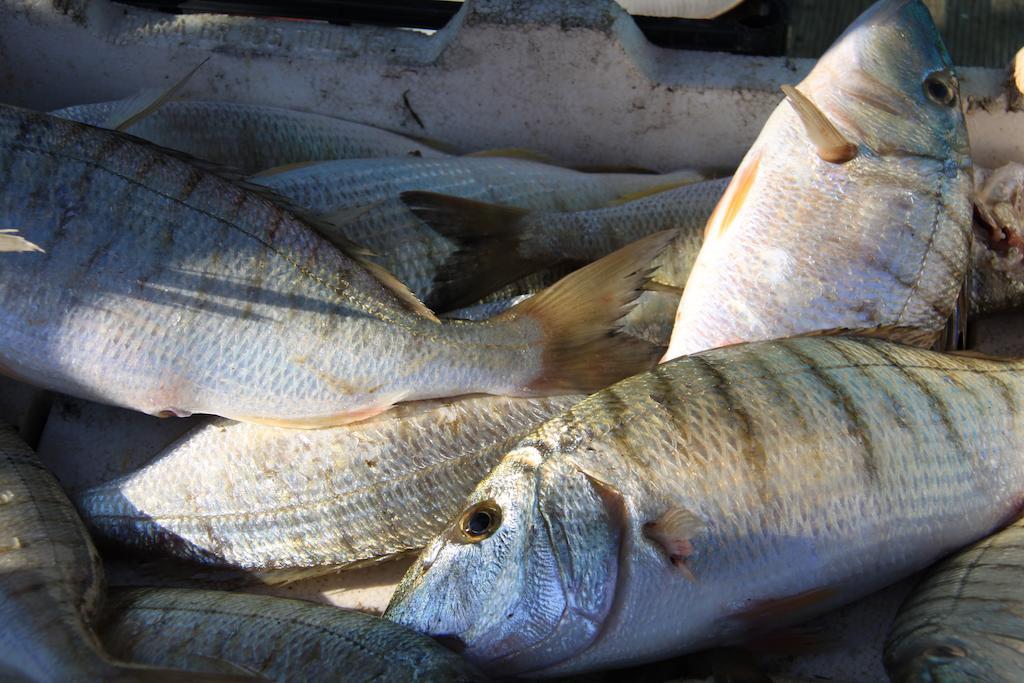 Il Pescatore Маринелла-ді-Селінунте Екстер'єр фото